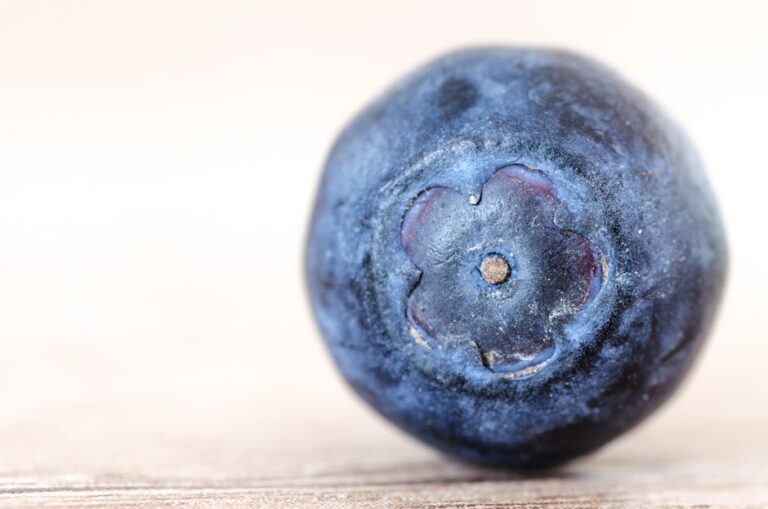 Blueberry Shortage: Causes, Impacts, and Future Outlook